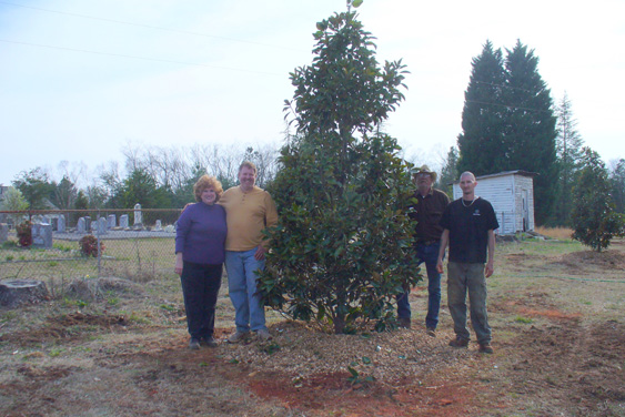 magnolia